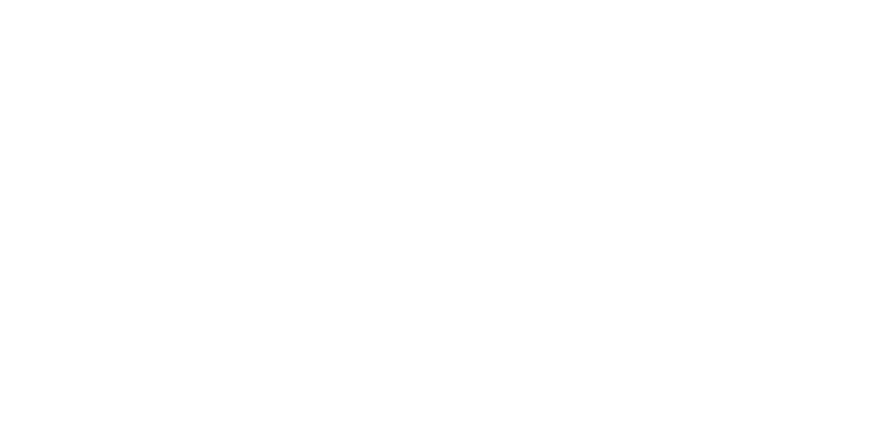 Criada do encontro de diferentes expertises e empresas pioneiras do mercado de dados, a Trillia é um negócio B3.
